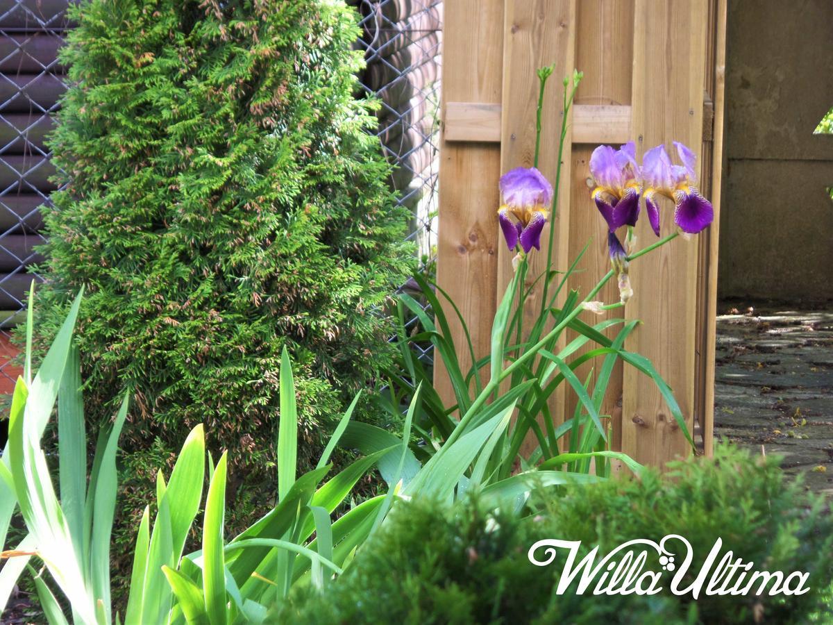 Willa Ultima Leba Ngoại thất bức ảnh